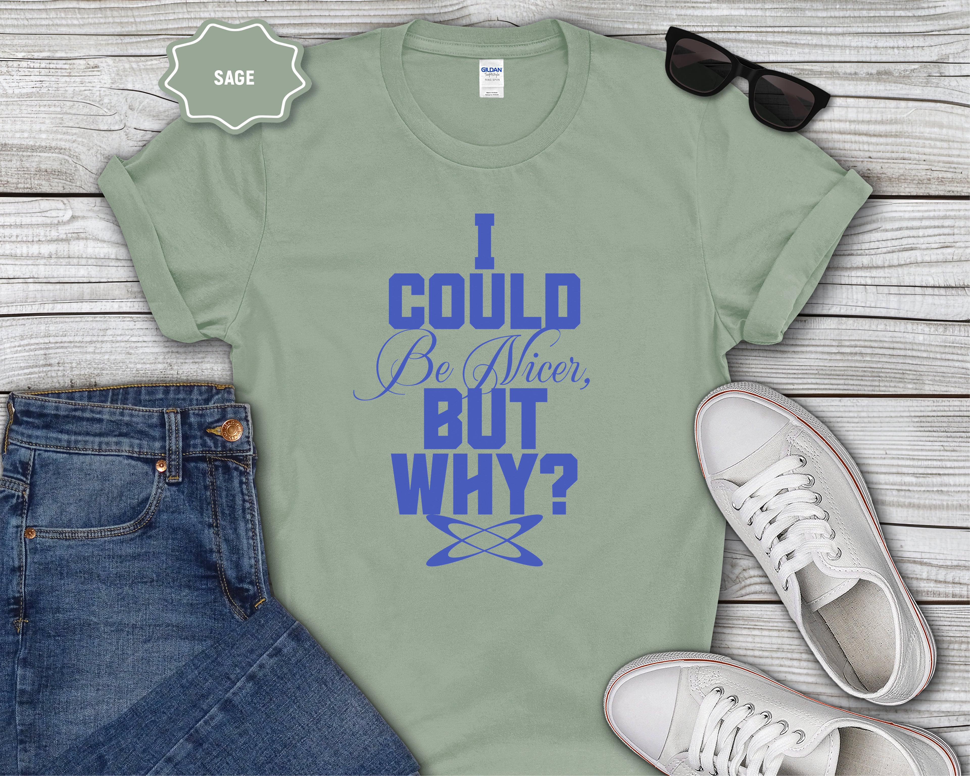 I Could Be Nicer But Why? T-Shirt