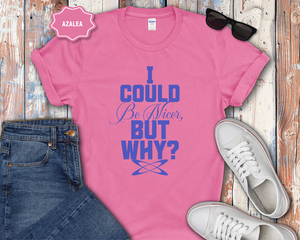 I Could Be Nicer But Why? T-Shirt